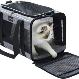 Vceoa 17.5x11x11 Inches Cat, Dog Carrier for Pets Up to...