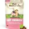 Pet Naturals Daily Probiotic for Dogs, 120M CFUs –...