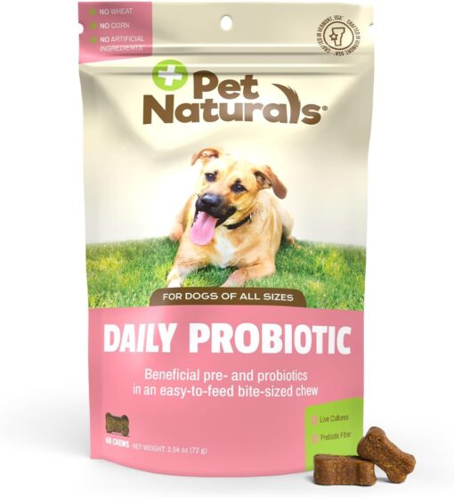 Pet Naturals Daily Probiotic for Dogs, 120M CFUs –...