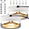 Flea Trap 2 Packs – Premium Flea Traps for Inside Your...