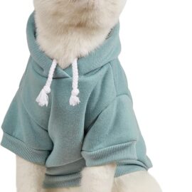 QWEENIE Basic Dog & Cat Hoodie, Warm Jacket –...