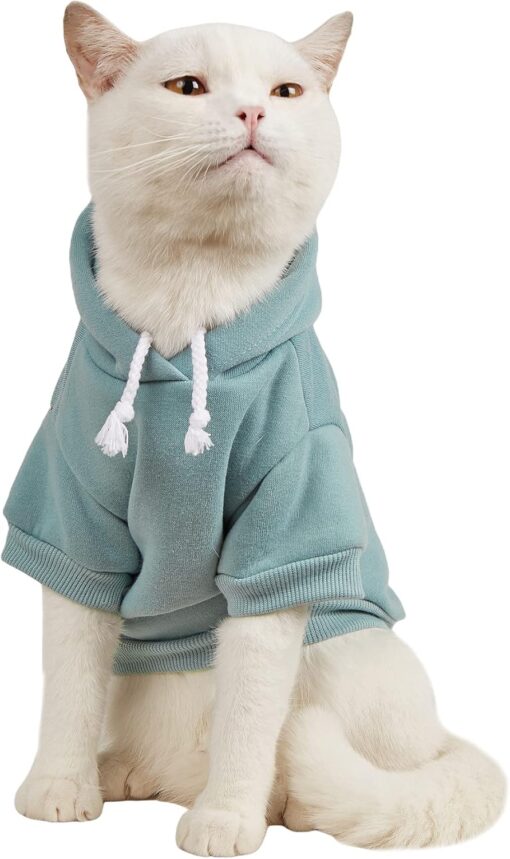 QWEENIE Basic Dog & Cat Hoodie, Warm Jacket –...