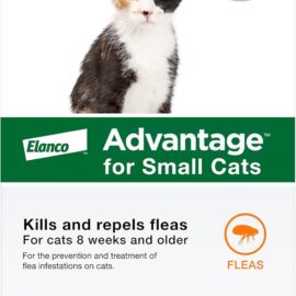 Advantage Topical Cat Flea Treatment and Prevention for...