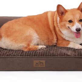 Orthopedic Dog Bed for Large Dog, Pet Couch for Medium Dog...