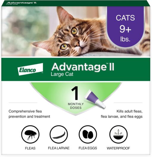 Advantage II Large Cat Vet-Recommended Flea Treatment &...