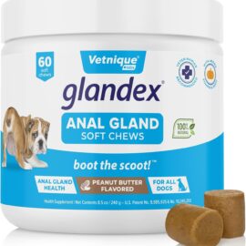 Vetnique Labs Glandex Anal Gland Soft Chew Treats with Pumpkin...