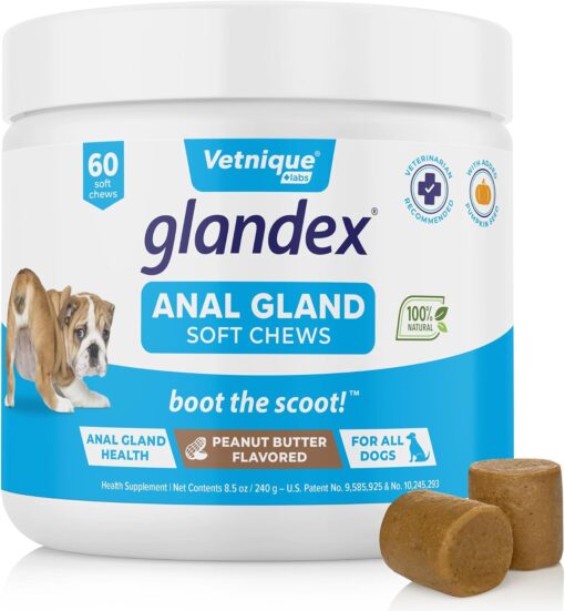 Vetnique Labs Glandex Anal Gland Soft Chew Treats with Pumpkin...