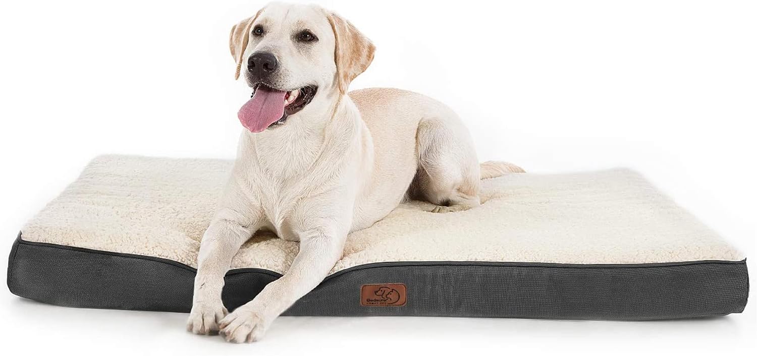 71HpCIQDGxL. AC SL1500 .jpg