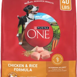 Purina ONE Chicken and Rice Formula Dry Dog Food –...
