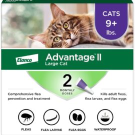 Advantage II Large Cat Vet-Recommended Flea Treatment &...