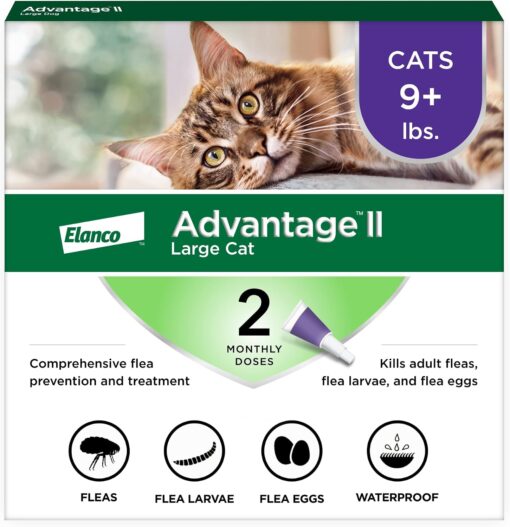 Advantage II Large Cat Vet-Recommended Flea Treatment &...