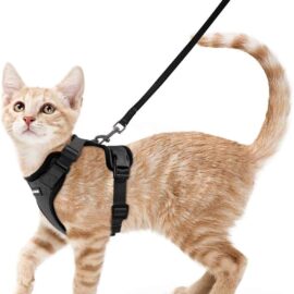 rabbitgoo Cat Harness and Leash for Walking, Escape Proof...