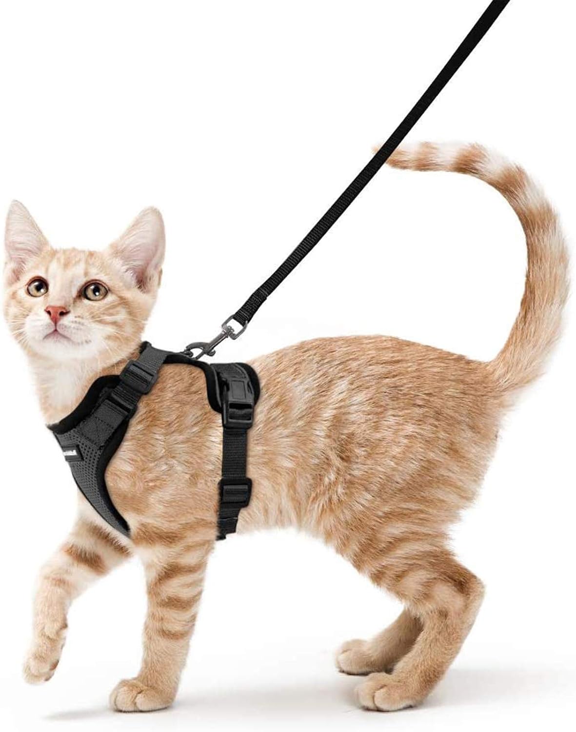rabbitgoo Cat Harness and Leash for Walking, Escape Proof...