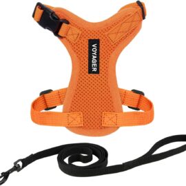 Voyager Step-in Lock Adjustable Cat Harness w. Cat Leash...