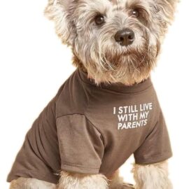 Cute Dog Clothes,Dog T Shirt for Medium Dogs.Dog Clothes...