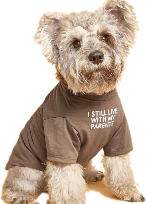 Cute Dog Clothes,Dog T Shirt for Medium Dogs.Dog Clothes...