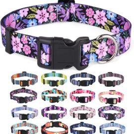 Dog Collar with Bohemia Floral Tribal Geometric Patterns... Dog Collar with Bohemia Floral Tribal Geometric Patterns...