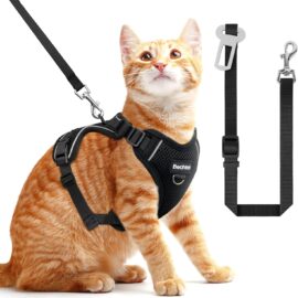 BECHTEL Cat Harness and Leash for Walking – Adjustable... BECHTEL Cat Harness and Leash for Walking – Adjustable...