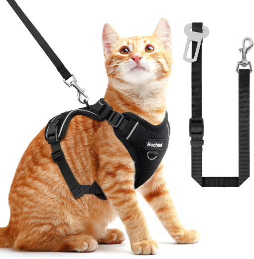 BECHTEL Cat Harness and Leash for Walking – Adjustable...