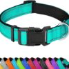 Reflective Dog Collar, Adjustable Soft Neoprene Padded Nylon...