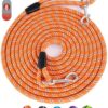 Long Dog Leash for Training – 10FT to 100FT, Reflective,...