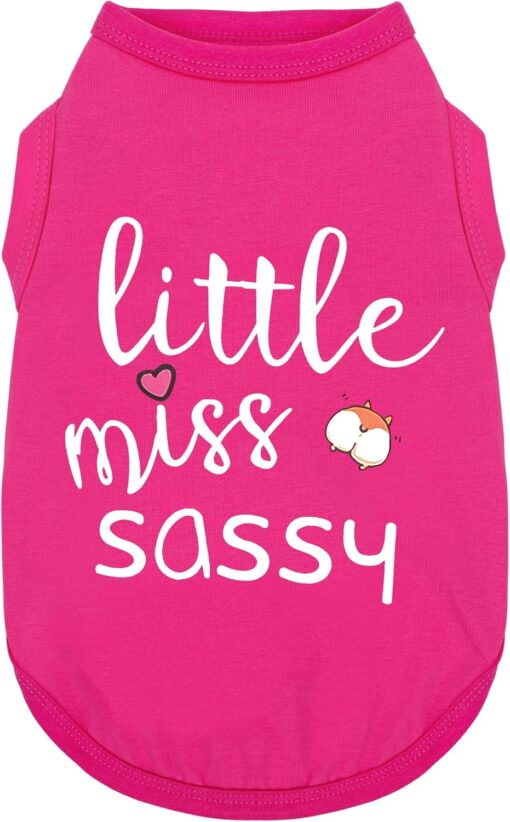 Paiaite Dog Clothes Fashionable Sleeveless Pet Vest: ‘Little...
