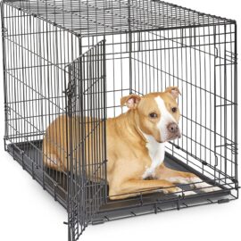 New World Newly Enhanced Single New World Dog Crate, Includes...