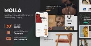 Molla Theme GPL v1.5.2 – Multi-Purpose WooCommerce Websites