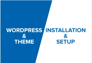 Install and setup WordPress theme exactly like a demo in 24 hours