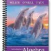 Solutions Manual for Introductory Algebra 3rd Edition by Miller