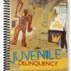 Solutions Manual for Juvenile Delinquency The Core 4th Edition by Siegel