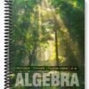 Test Bank for Algebra Form and Function 1st Edition by McCallum