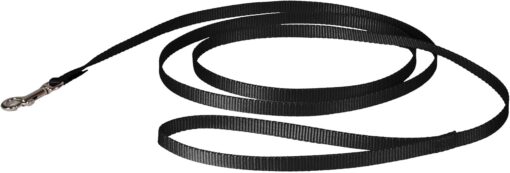 PetSafe Nylon Dog Leash - Strong, Durable, Traditional Style Leash with Easy to Use Bolt Snap - 3/8 in. x 6 ft., Black | Durable Nylon Leash with Easy on/off Bolt Snap Hook, Pairs Perfectly with Easy Walk Harness and Gentle Leader Headcollar