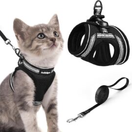 rabbitgoo Cat Harness and Leash Set, Step-in Soft Vest, Black | Escape Proof, Lightweight, Easy-on & Adjustable, Hook & Loop with Buckle, Reflective, for Small Cats Walks, L