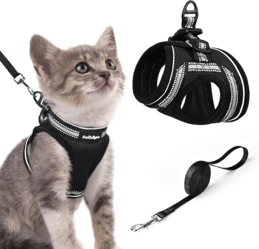 rabbitgoo Cat Harness and Leash Set, Step-in Soft Vest, Black | Escape Proof, Lightweight, Easy-on & Adjustable, Hook & Loop with Buckle, Reflective, for Small Cats Walks, L